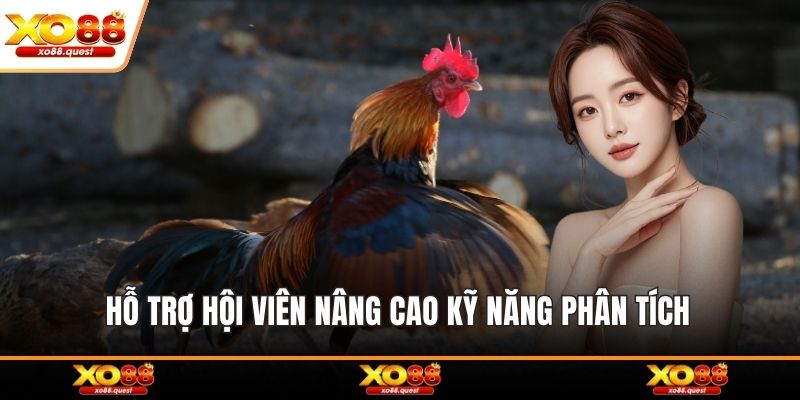 Hỗ trợ hội viên nâng cao kỹ năng phân tích 