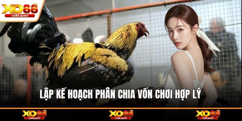 Lập kế hoạch phân chia vốn chơi hợp lý 