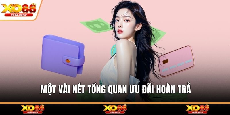 Một vài nét tổng quan ưu đãi hoàn trả