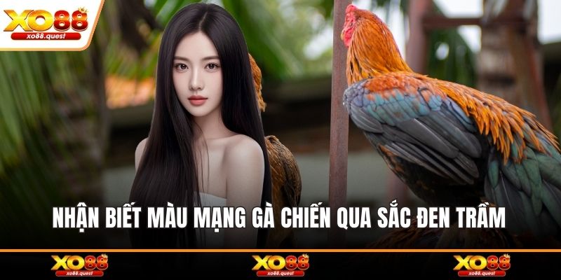 Nhận biết màu mạng gà chiến qua sắc đen trầm 